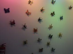 Exposición de Flyppy 2023